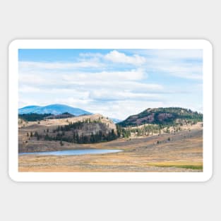 Desert Grasslands Blue Sky View Sticker